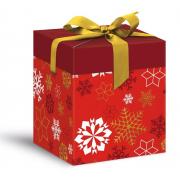 Krabička dárková vánoční 12x12x15cm - klikněte pro více informací